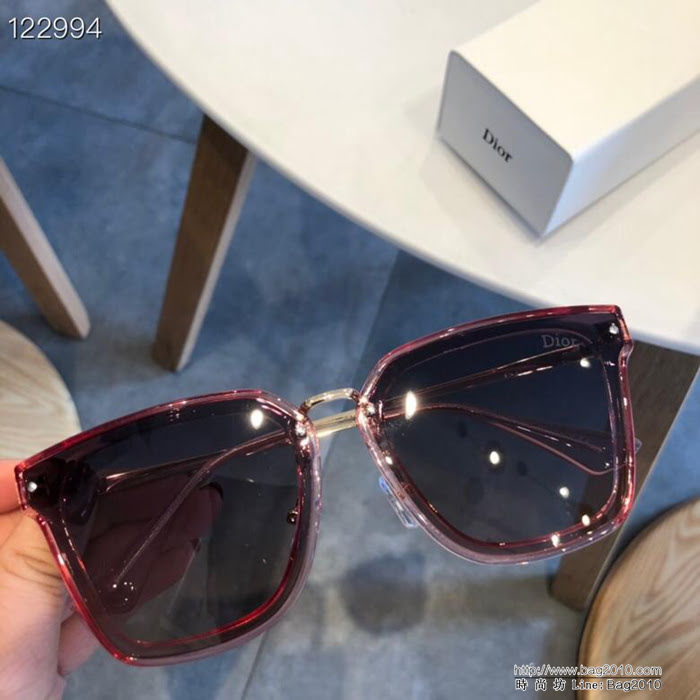 DIOR-迪奧 偏光鏡 2019新款 時尚高雅墨鏡 女士太陽鏡  lly1253